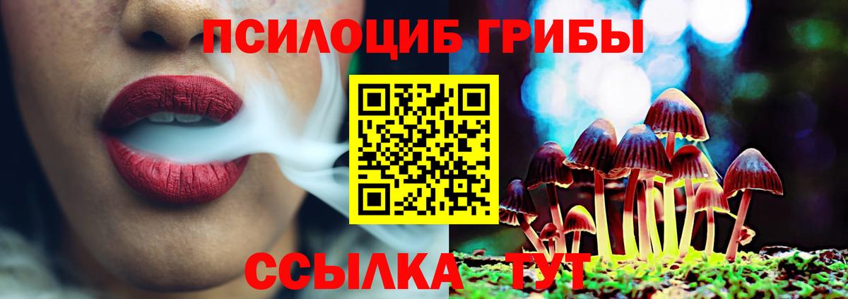 Псилоцибиновые грибы Psilocybine cubensis  Галлюциногенные грибы Magic Shrooms  Егорьевск  Вход с VPN 
